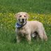 Conny Guggenberg 💙 🌹🥀🇩🇪. 🕊️ (@connyguggenberg) Twitter profile photo Conny Guggenberg 💙 🌹🥀🇩🇪. 🕊️ (@connyguggenberg) Twitter profile photo