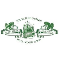 Brocksbushes (@brocksbushes) 's Twitter Profile
