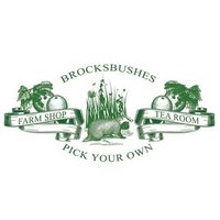 Brocksbushes(@brocksbushes) 's Twitter Profile Photo