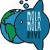 MOLAMOLA DIVE (@molamolad) Twitter profile photo MOLAMOLA DIVE (@molamolad) Twitter profile photo