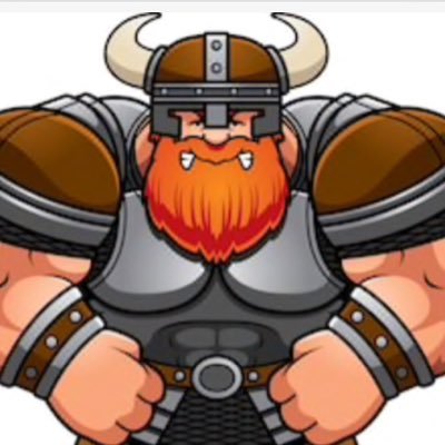 VikingBrien's profile picture. Check out my twitch VikingOBrien