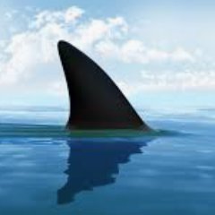 𝔈𝔵𝔭𝔢𝔯𝔱 𝔬𝔫 𝔈𝔵𝔭𝔢𝔯𝔱𝔦𝔰𝔪 🦈 c̴a̴t̴c̴h̴i̴n̴ ̴t̴h̴e̴ ̴w̴a̴v̴e̴🦈 Pᵣᵢ𝚌ₑ & ₒ𝐩𝚝ᵢₒ𝚗 ₐ𝚌𝚝ᵢₒ𝚗 🐋 ℑ𝔫𝔣𝔬𝔯𝔪𝔞𝔱𝔦𝔬𝔫al 𝔓𝔲𝔯𝔭𝔬𝔰𝔢𝔰 𝔒𝔫𝔩𝔶