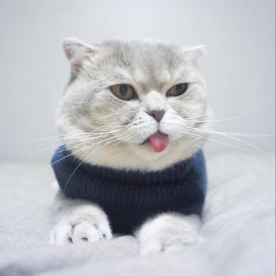 DatTruo50447972's profile picture. 