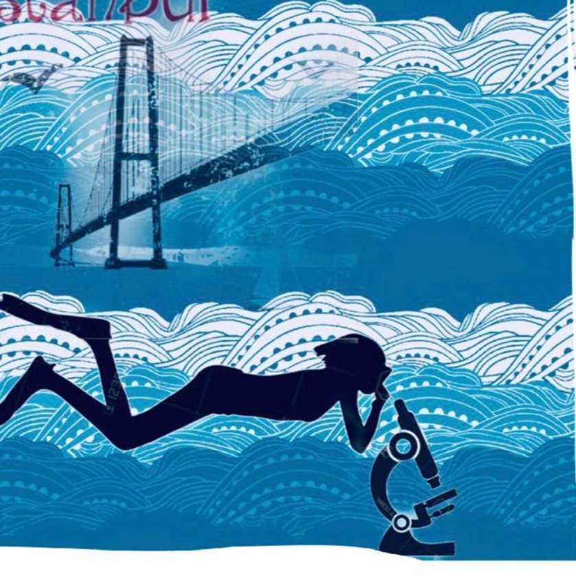 scubapath1's profile picture. 