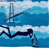 scubapath (@scubapath1) 's Twitter Profile