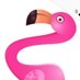 Ringo the crypto flamingo (@cryptoringo) Twitter profile photo Ringo the crypto flamingo (@cryptoringo) Twitter profile photo