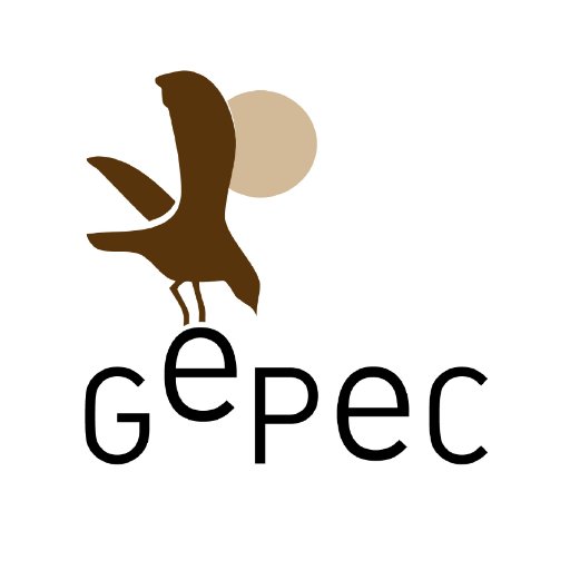 gepecedc Profile Picture