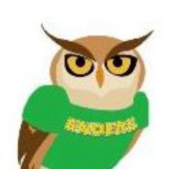 Enders Owls