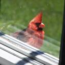 Maria Cogar - @Momofzandc - Twitter