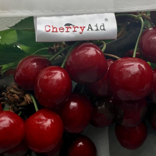 CherryAid branch wraps: the original pest control sleeves for fruit trees. Visit our website for product details. All photos our own.