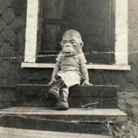 Uncle Hans (@hansfjp) 's Twitter Profile