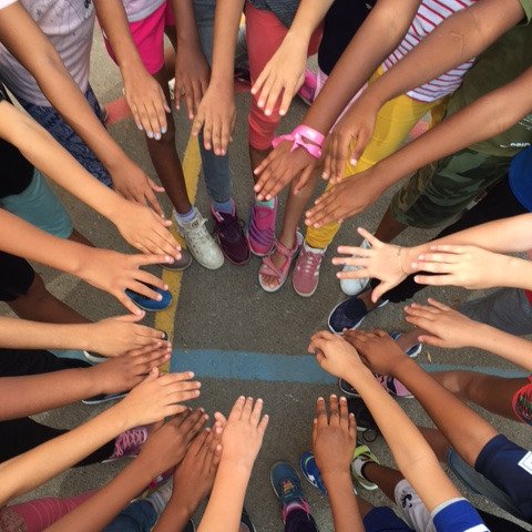 CE2C_LFD_Dolto's profile picture. 