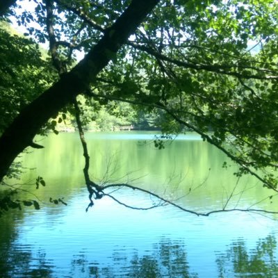 zhdmrts's profile picture. 