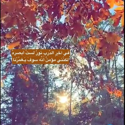 اخصائي نفسي اول اكلينيكي حاصله على دبلوم العلاج الجدلي السلوكي متواجده في تطبيق لبيه🌷