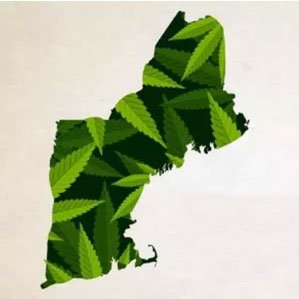 Marijuana news from The Boston Globe (@bostonglobe).