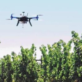 JimMellonAgri's profile picture. #PrecisionAgriculture #Agritech