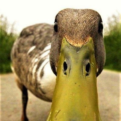 Steerio84's profile picture. 