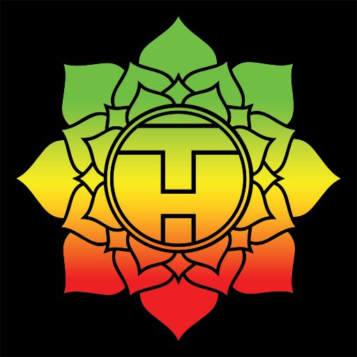 Reggae Rock band, TreeHouse! established in 2010 and based in South Carolina, touring the US and beyond.