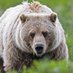 Grizzly Sigma (@grizzly_sigma) Twitter profile photo Grizzly Sigma (@grizzly_sigma) Twitter profile photo