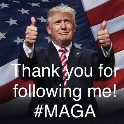 🇺🇸❤️✡️✝️Maga, Trump2020, blexit, KAG, 🚫dems,🚫sharia, IFB, &i unfollow