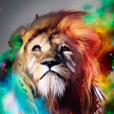 marchetini's profile picture. 