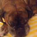 Norma Warner - @NormaWa69865963 - Twitter