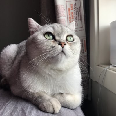 yu24353249's profile picture. 