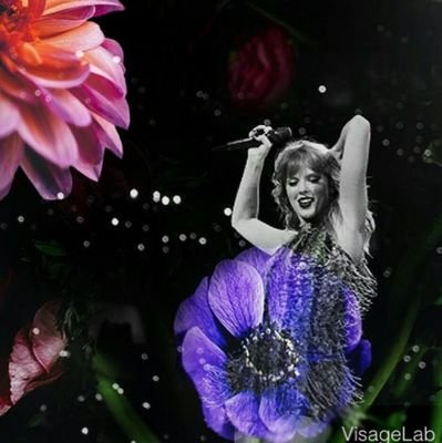 Swiftlyfe17's profile picture. Swifties fallow me Im new to twitter!