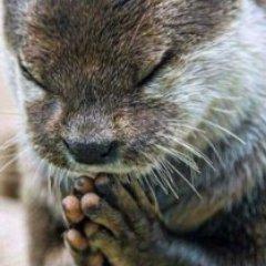 SwiftmanCrybaby's profile picture. {Cass/Cassiel} ||They/Them (Nonbinary)|| Account of: @OTTERRFALL ||Account will contain morbid, intense venting please sb if uncomfortable||