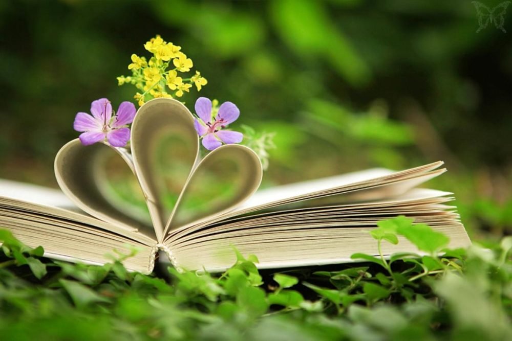 Arman4Azadi's profile picture. Freedom and Human Right Advocate