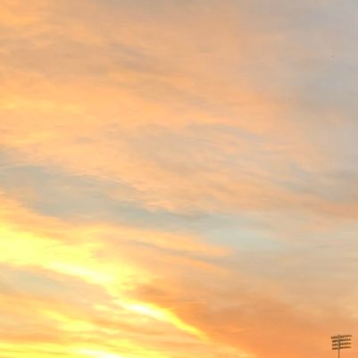 dailyth35306998's profile picture. 