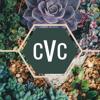 CVCounselingOCD's profile picture. Licensed Professional Counselor specializing in the treatment of Obsessive Compuslive Disorder with Exposure & Response Prevention.