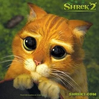 Nurqercan's profile picture. 