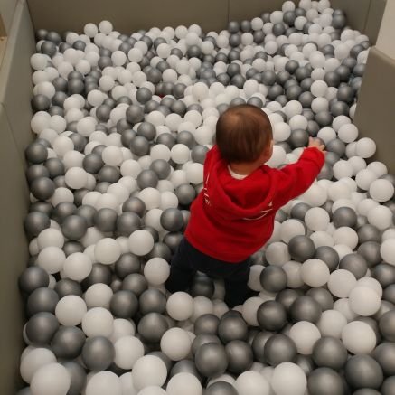 whibee's profile picture. 정신 단단히 차려야하는(차리고싶은) 똥글이 엄마. 주로 읽는 편입니다. 일상 트윗, 궁시렁 올라옵니다.