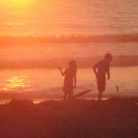 Shirley Vaine (@solarshirley) 's Twitter Profile