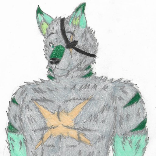 wolfsoul wolfsoul