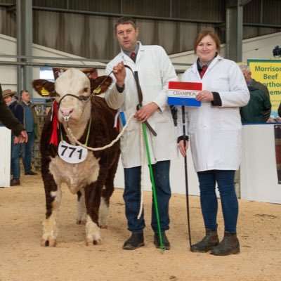 Our aim is to produce beef which is tasty and succulent and to sell quality pedigree stock. I am also a egg producer and shareholder of Anglia Free Range Eggs