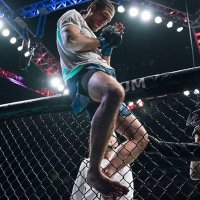 Brian Ortega (@briantcity) 's Twitter Profile