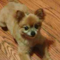 I FollowBack You :) (@ifbyu) 's Twitter Profile