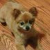 I FollowBack You :) (@ifbyu) Twitter profile photo I FollowBack You :) (@ifbyu) Twitter profile photo