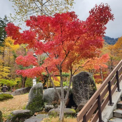 chalor999's profile picture. 