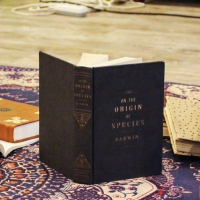 booknote_evil's profile picture. 다윈영의 악의기원 📖