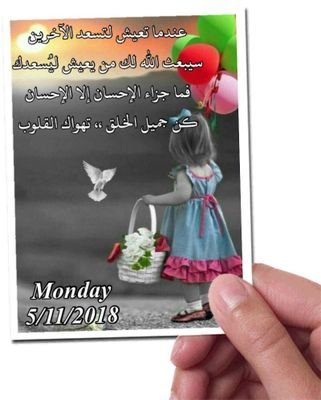 sDIP8HPFy8aB9N1's profile picture. 