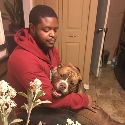 🐶
IT specialist, Aspiring SOC Analyst/cybersecurity consultant