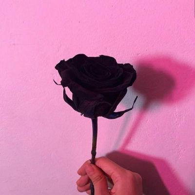 AraRoss03's profile picture. Hi my name is Ara Ross.. 
I'm 15 years old
I'm an ARMY
My bias is SUGA
My bias wrecker is V and JHOPE

~~~

안녕하세요~~