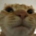 will (@calciumlad) Twitter profile photo will (@calciumlad) Twitter profile photo