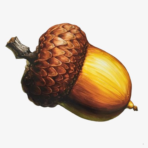 healthnut_8's profile picture. Interested in living a healthy lifestyle. Love yoga and running. Avocados go well on everything.