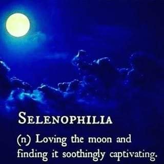 Lover of the night and all the secrets it brings... Recovering Addict... 
Chronic Pain Warrior....
oh yeah, Insomniac.