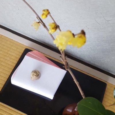 京都工芸繊維大学 茶道部です🍵流派は裏千家です 現在新三回生9人、新二回生4人、その他2人で月木金の週3回活動しています！ご興味をお持ちのかたはお気軽にリプ・DMください🤗（質問箱は回答が遅くなる可能性があります🙇）