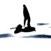 Pelagicus (@pelagicuscat) Twitter profile photo Pelagicus (@pelagicuscat) Twitter profile photo